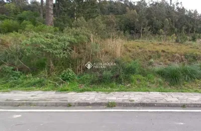Terreno à venda na rua luiz covolan, 4536, santa catarina, caxias do sul, 362 m2 por r$ 200.000