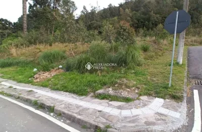Terreno à venda na rua luiz covolan, 4548, santa catarina, caxias do sul, 320 m2 por r$ 200.000