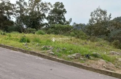 Terreno à venda na rua silviro cassina, 109, santa catarina, caxias do sul, 314 m2 por r$ 150.000