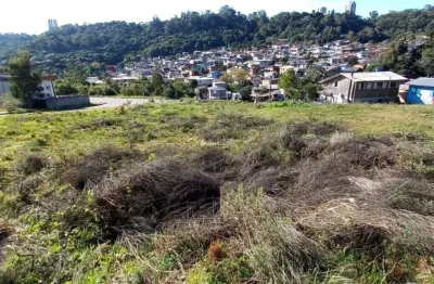Terreno à venda na rua luiz covolan, 05, santa catarina, caxias do sul, 302 m2 por r$ 150.000