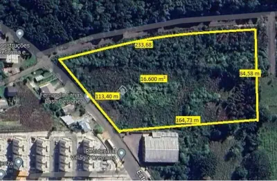 Terreno à venda na conde deu, 999, são virgílio, caxias do sul, 16682 m2 por r$ 4.500.000