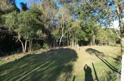 Terreno à venda na rua travessão solferino, 999, cruzeiro, caxias do sul, 26666 m2 por r$ 4.500.000
