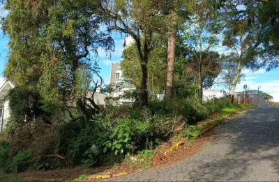 Terreno à venda na rua adalberon cruz, 999, bela vista, caxias do sul, 360 m2 por r$ 300.000