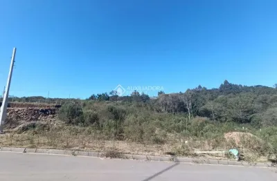 Terreno à venda na ophelia bertelli fiamenghi, 202, são giácomo, caxias do sul, 519 m2 por r$ 184.900