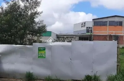 Terreno à venda na rua nayr aurora carnezella pezzi, 999, charqueadas, caxias do sul, 542 m2 por r$ 550.000