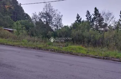 Terreno à venda na gilberto vissirini lahm dos reis, 585, são virgílio, caxias do sul, 325 m2 por r$ 160.000