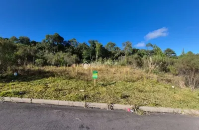 Terreno à venda na rua vereador pedro rech, 513, são giácomo, caxias do sul, 318 m2 por r$ 160.000
