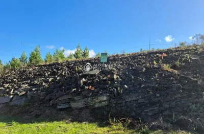 Terreno à venda na rua irma pienegonda bettega, 999, são giácomo, caxias do sul, 324 m2 por r$ 160.000