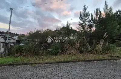 Terreno à venda na vitorino swaisser, 999, são caetano, caxias do sul, 320 m2 por r$ 240.000