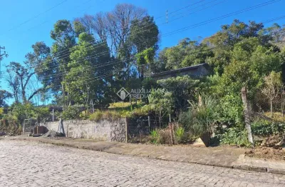 Terreno à venda na rua giuseppe formolo, 450, cruzeiro, caxias do sul, 3000 m2 por r$ 2.650.000