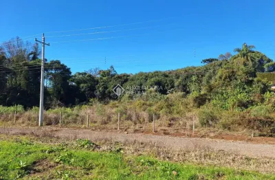 Terreno comercial à venda na rua travessão thompson flores, 00, nossa senhora da saúde, caxias do sul, 272 m2 por r$ 1.300.000