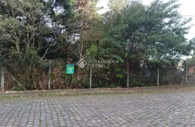 Terreno à venda na rua josefina corsetti, 3566, petrópolis, caxias do sul, 681 m2 por r$ 800.000