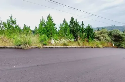 Terreno à venda na miguel hélio danilo rech, 06, nossa senhora das graças, caxias do sul, 305 m2 por r$ 135.000