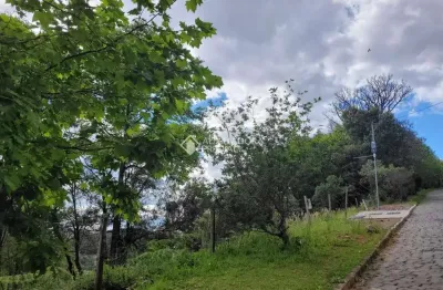 Terreno à venda na estrada municipal benvenuto toss, 000, são luiz, caxias do sul, 13991 m2 por r$ 800.000