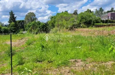 Terreno à venda na Avenida Vinte e Um de Setembro, 372, São Virgílio, Caxias do Sul, 360 m2 por R$ 250.000