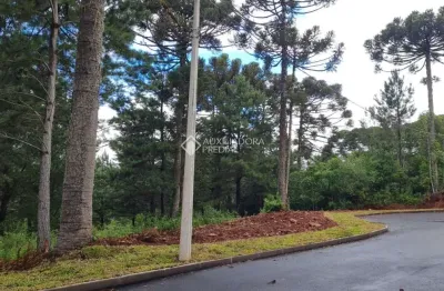 Terreno à venda na Waldi Kich, 999, Dutra, Gramado, 614 m2 por R$ 590.000