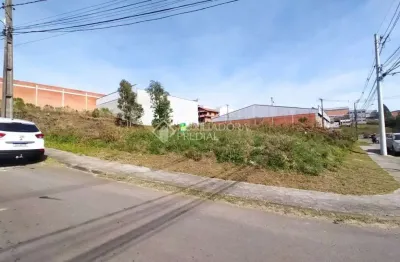 Terreno à venda na rua das gardênias, 3, cinqüentenário, caxias do sul, 448 m2 por r$ 532.000