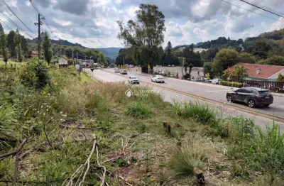 Terreno à venda na rs 235., 1, carazal, gramado, 49438 m2 por r$ 7.420.000