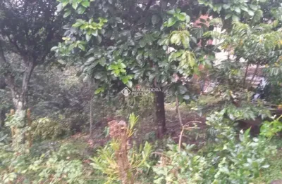 Terreno à venda na tristão oliveira, 663, floresta, gramado, 360 m2 por r$ 2.150.000