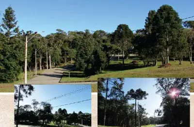 Terreno à venda na mariana schlieper franzen, 1, vila mina, canela, 450 m2 por r$ 578.268