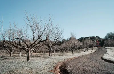 Terreno à venda na antonio benetti sobrinho, 4, mato queimado, gramado, 800 m2 por r$ 848.106