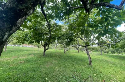 Terreno à venda na antonio benetti sobrinho, 1, mato queimado, gramado, 4501 m2 por r$ 6.919.481