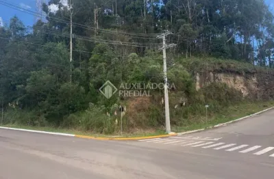 Terreno à venda na vereador floriano petersen, 520, casa grande, gramado, 5803 m2 por r$ 20.000.000