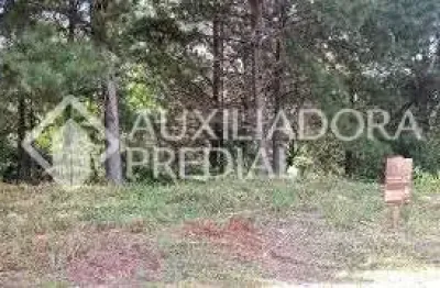 Terreno comercial à venda na c (lot marsal), 15, dutra, gramado, 450 m2 por r$ 375.000