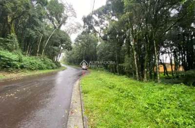 Terreno em condomínio fechado à venda na nestor ruchel, 1, lagos do bosque, gramado, 802 m2 por r$ 680.000