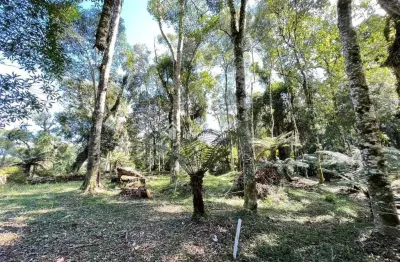 Terreno em condomínio fechado à venda na rua prefeito waldemar frederico weber, 10, mato queimado, gramado, 1061 m2 por r$ 1.400.000