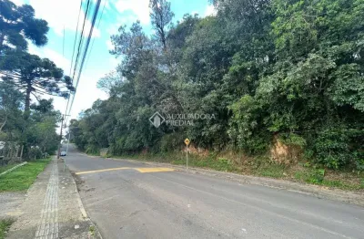 Terreno à venda na godofredo raymundo, 01, palace hotel, canela, 453 m2 por r$ 330.000