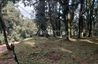 Terreno à venda na doutor rui vianna rocha, 6, são luiz, canela, 1397 m2 por r$ 507.462