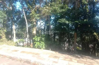 Terreno à venda na abel parmegiani  lot benetti quadra d lote 21, 75, floresta, gramado, 275 m2 por r$ 350.000