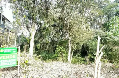 Terreno à venda na santalicio rodrigues da silva, 01, são josé, canela, 360 m2 por r$ 300.000