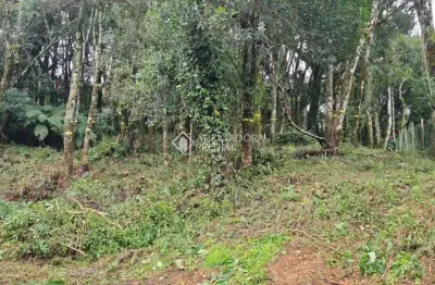 Terreno à venda na da avenca, 1, leodoro de azevedo, canela, 681 m2 por r$ 380.000