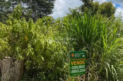 Terreno à venda na 1º de janeiro esq com campestre do tigue, 5, vale dos pinheiros, gramado, 930 m2 por r$ 460.000