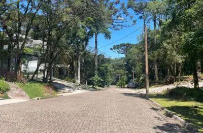 Terreno em condomínio fechado à venda na quadra d lote 14, 14, parque pinheiro grosso, canela, 744 m2 por r$ 640.000