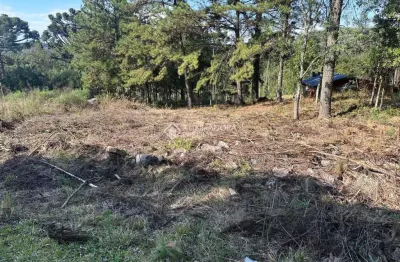 Terreno à venda na beatriz de oliveira, 16, dutra, gramado, 450 m2 por r$ 350.000