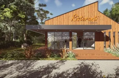 Terreno comercial à venda na rs 466, 6000, parque pinheiro grosso, canela, 365 m2 por r$ 1.700.000