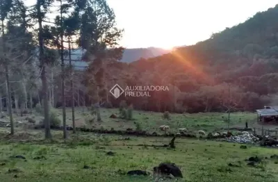 Fazenda à venda na caracol, 120, zona rural, canela, 30128 m2 por r$ 3.450.000