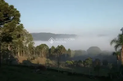Fazenda à venda na caracol, 120, zona rural, canela, 30128 m2 por r$ 3.450.000