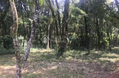 Terreno à venda na rua severino inocente zini, 20, centro, canela, 1019 m2 por r$ 489.000