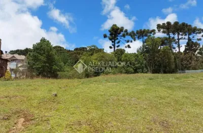 Terreno em condomínio fechado à venda na quadra k  lote 1, 1, centro, canela, 1294 m2 por r$ 2.400.000