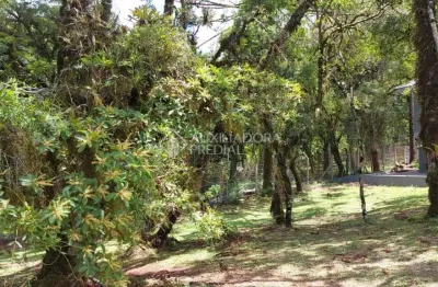 Terreno em condomínio fechado à venda na quadra f  lote 2, 2, centro, canela, 544 m2 por r$ 1.500.000