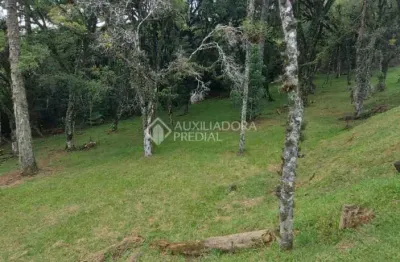 Terreno em condomínio fechado à venda na quadra c  lote 6, 6, centro, canela, 595 m2 por r$ 1.400.000