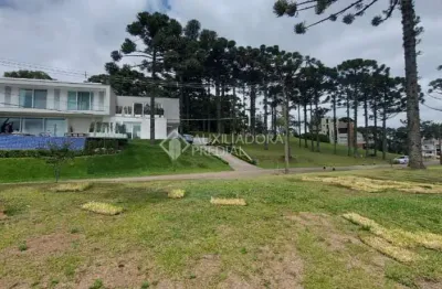 Terreno em condomínio fechado à venda na quadra a lote 1, 1, centro, canela, 701 m2 por r$ 1.400.000