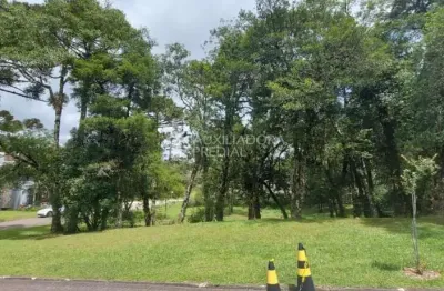 Terreno em condomínio fechado à venda na quadra d  lote 11, 11, centro, canela, 707 m2 por r$ 1.800.000