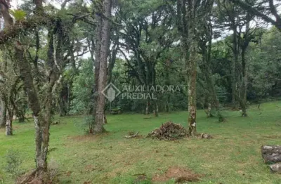 Terreno em condomínio fechado à venda na quadra c lote 07, 7, centro, canela, 595 m2 por r$ 1.400.000