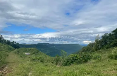 Terreno à venda na linha belvedere (estrada serra grande), 1, várzea grande, gramado, 52000 m2 por r$ 3.500.000