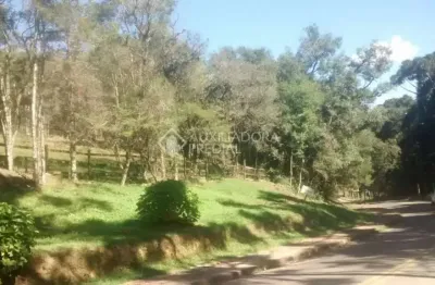 Terreno à venda na da ferradura, 120, caracol, canela, 30128 m2 por r$ 3.386.000